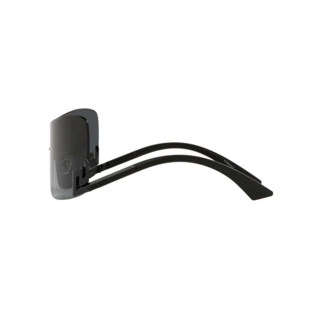 Black Acetate Sunglasses