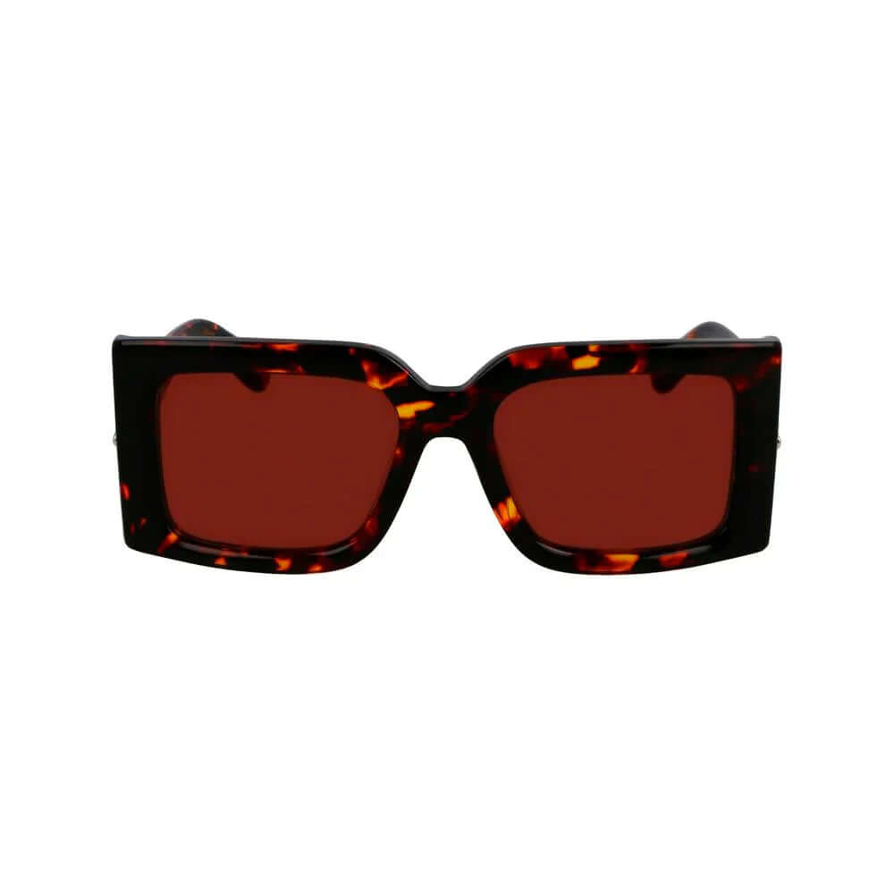 Brown Acetate Sunglasses by Ferragamo
