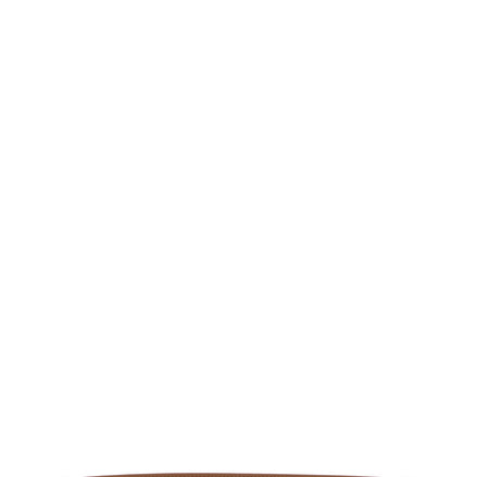 Brown Calfskin Regular Belt